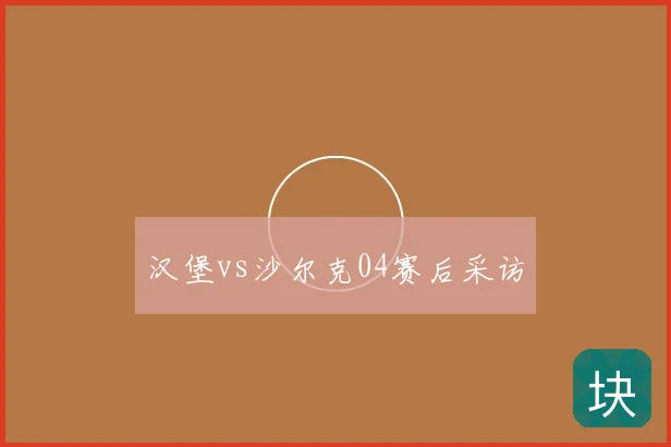汉堡vs沙尔克04赛后采访