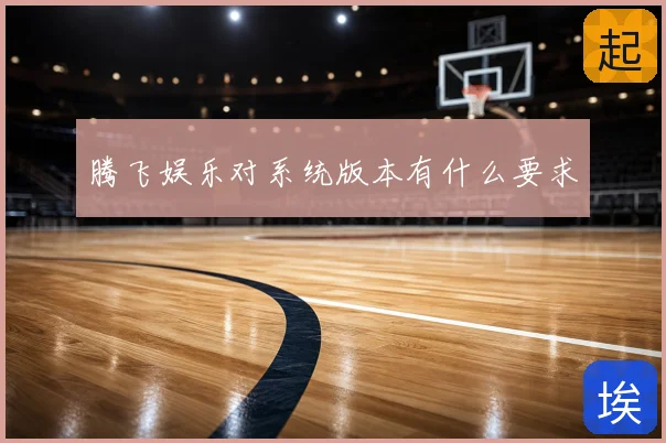 腾飞娱乐对系统版本有什么要求